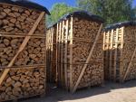 Brændselstræ Birk | Brændsel, briketter | Coni alnus