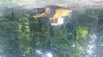 Forwarder VOLVO 868  |  Teknisk udstyr for forstfolk | Tømrer maskineri | Adam