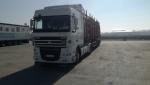 Trailer til stammer - Transport og last