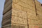 Palletræ