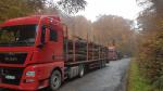 Trætransporter - Transport og last