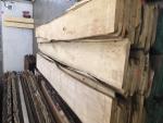 Lind Opskåret træ til snedkerfaget | Hårdt træ | Tømmer | JAF HOLZ Slovakia