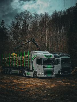 Trailer til stammer - Transport og last
