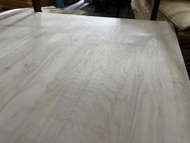 Spånplade Vandafviselig | Materiale med store flader | Forestree