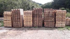 Palletræ