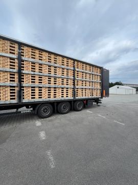 Paller Engangspaller |  Emballage, paller | Woodproo s.r.o.