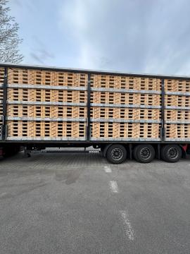 Paller Engangspaller |  Emballage, paller | Woodproo s.r.o.