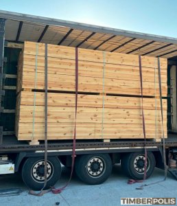 Palletræ
