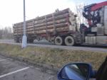 Rødgran Træ på rod |  Blødt træ | Rundtømmer | Ján Haviar