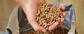 Piller Rødgran |  Brændsel, briketter | SCOPULUS Handels-und Dienstleistungs GmbH 
