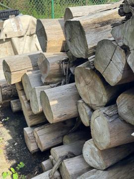 Teak Rundtømmer til savning |  Tropiske træsorter | Rundtømmer | SOFT IT SP .ZO.O SPÓŁKA Z OGRANICZONĄ ODPO