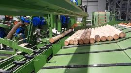 Andet udstyr Kompletn výroní Linka kulů . |  Savteknisk udstyr | Tømrer maskineri | Drekos Made s.r.o